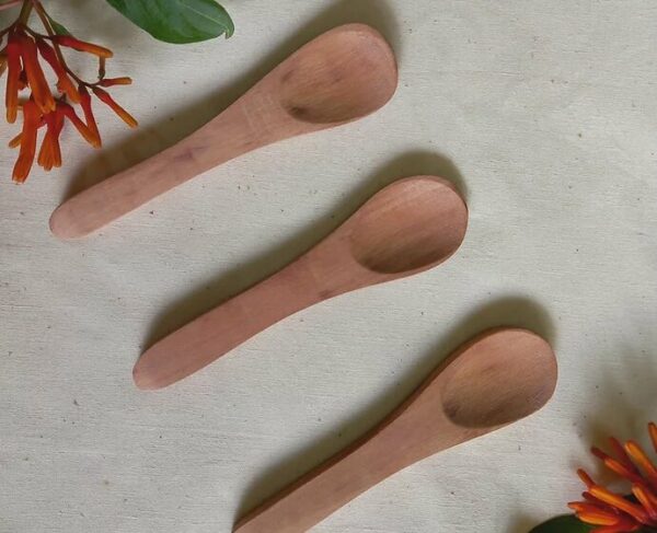 Praacheen Vidhaan: Natural Wooden Spoon