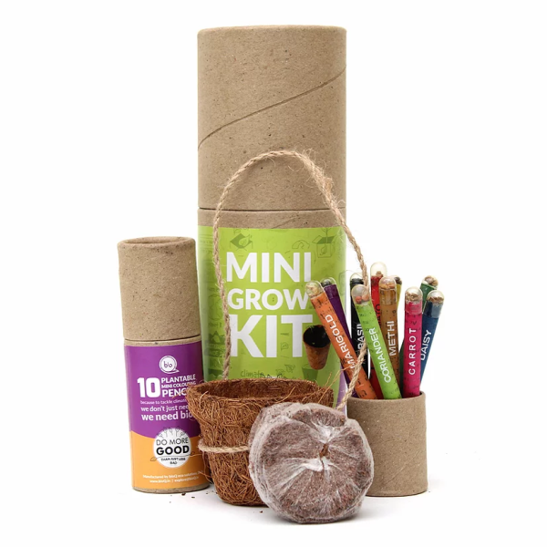 BioQ : Mini Grow Kit (Colouring Pencils Set) - Image 4