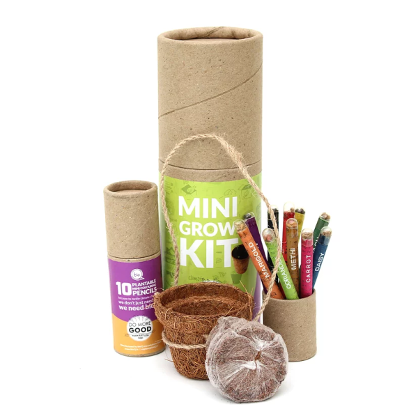 BioQ : Mini Grow Kit (Colouring Pencils Set)