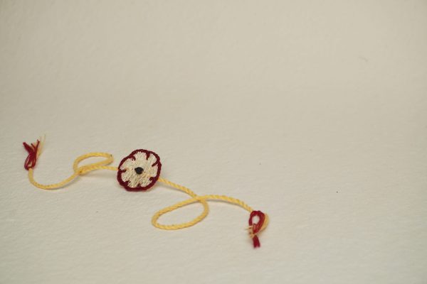 Satatyug Seed Rakhi: Loofah - Image 2