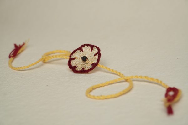 Satatyug Seed Rakhi: Loofah - Image 3