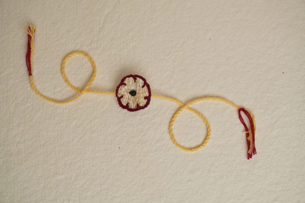 Satatyug Seed Rakhi: Loofah - Image 4