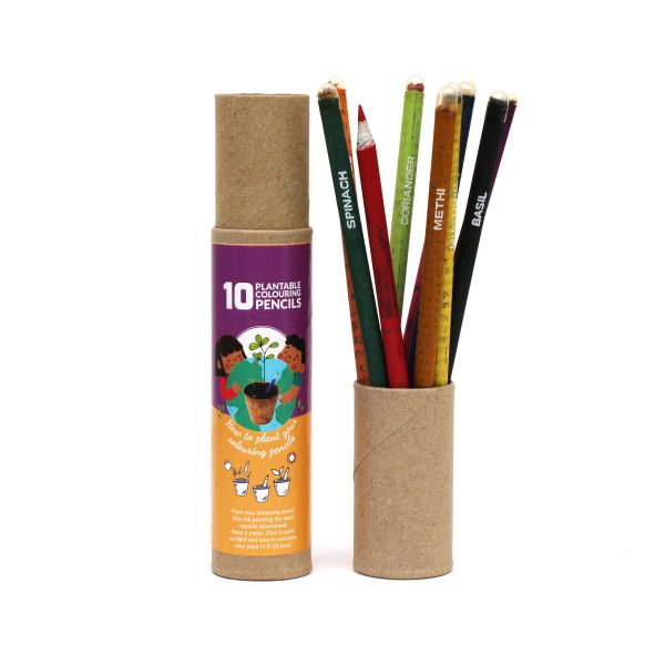 BioQ : Colouring Seed Pencils (Pack of 10) - Image 3