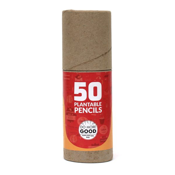 BioQ : Seed Pencils (Pack of 50) - Image 3