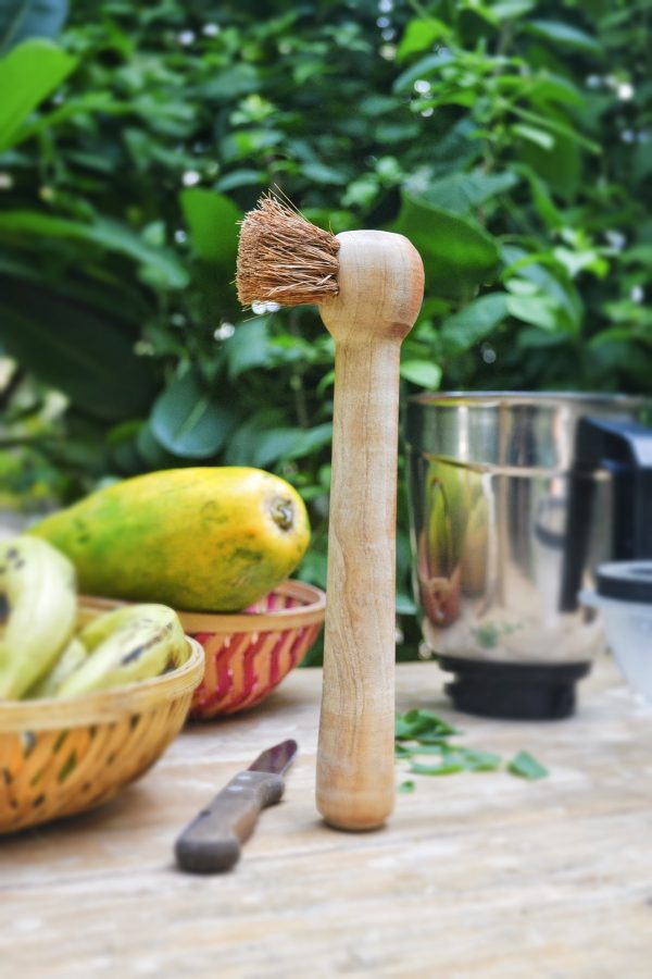 Almitra Sustainables : Coconut Fiber -Dip Brush